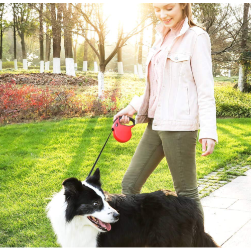 Duti Berat Retractable Leash