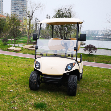 Chinese EPA Certified 2 Seater Golf Buggies with Gas Fuel