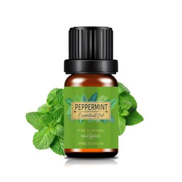 Spearmint Oil Price Trusted Spearmint Oil Bulk Spearmint Essential Oil at Wholesale Price