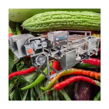 Vegetables Washing Machine