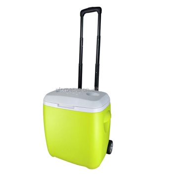 Rotomolded Cooler Box: 18L, 20L, 28L Thermo Chest Coolers Thermal Boxes