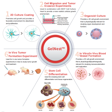 Matrice de membrane Gelnest ™ Matrix, sans rouge phénol