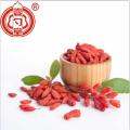 Superfood Goji 열매 건조 과일