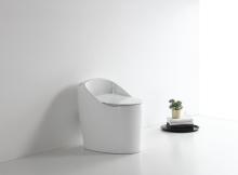 Ceramic WC Toilet with Soft Closing Seat Cover