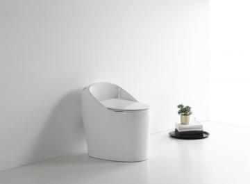 Ceramic WC Toilet with Soft Closing Seat Cover