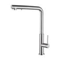 Stainless Steel Kitchen Pull Showers