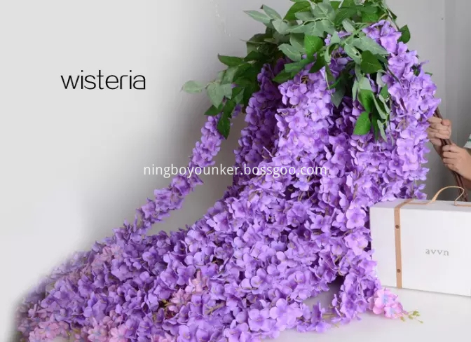 Wisteria Purple Png