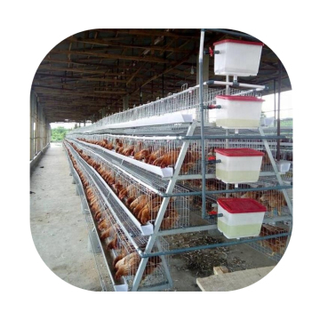 Egg Laying Hen Battery Cage for Poultry Farm