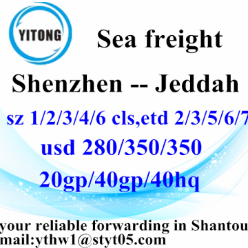 Shenzhen Ocean Freight Forwarder Agent zu Jeddah