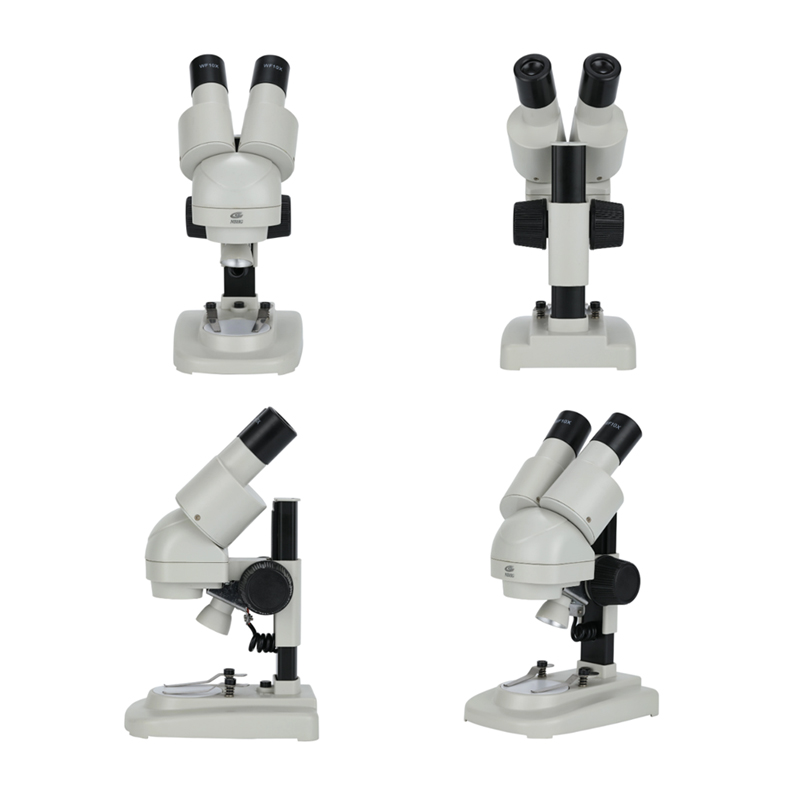 Direct Sales Toy Microscope Binocular Stereo Microscope