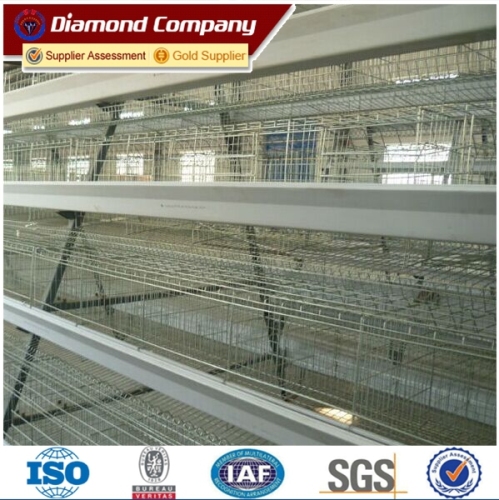 Galvanized&PVC coating chicken cage system