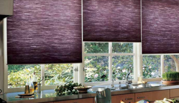 Honeycomb blackout pleated blinds