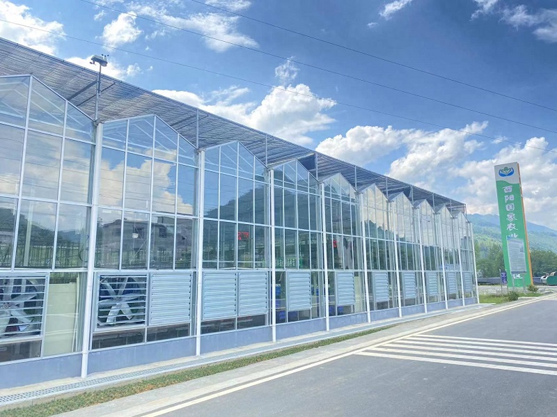 Modern Dağ Tarımını Güçlendirmek: Qingcheng Tarımın Akıllı Cam Sera Projesi Youyang'da Başlıyor Empowering Modern Mountain Agriculture: Qingcheng Agriculture’s Smart Glass Greenhouse Project Launches in Youyang