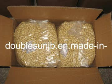 Blanched Peanut Kernel 25/29