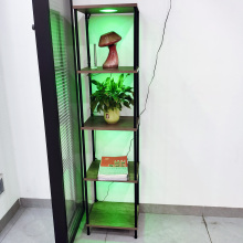 Remote RGBW LED light bulbs shelf floor lamp