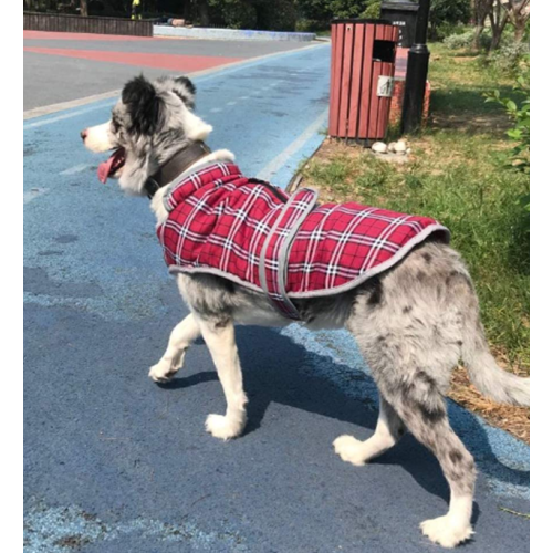 Kotak anjing plaid British untuk anjing besar sederhana