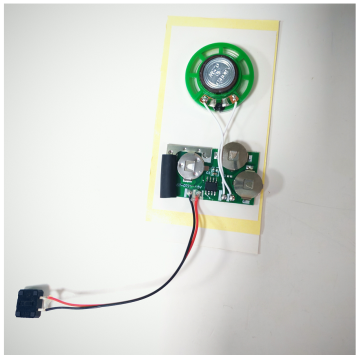 Personal Sound Module for Creative Greeting Cards and Gifts