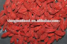hot sale green health dried goji berry