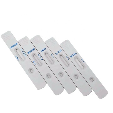 MOP Colloidal Gold Heart Failure Marker Rapid Test