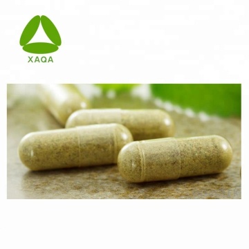 Loss weight Garcinia Cambogia Extract HCA 60% powder