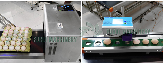 High speed egg inkjet marking machine/egg code printing machine/hen egg branding machine