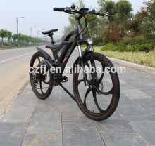 2015 electric bicyle with new style and design