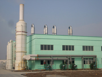 Grain Dryer/Paddy Drier for Grain Processing Machinery