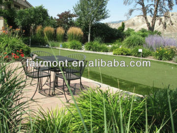 Grass Carpet, High Quality Grass Carpet,