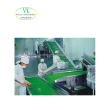 Industrial IQF Freezing Processing Line for Vegetables and Fruits