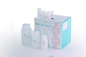 Magnetic Bead Method Cell-Free DNA Midi Kit