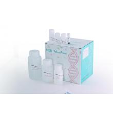 Magnetische kraalmethode celvrije DNA MIDI-kit