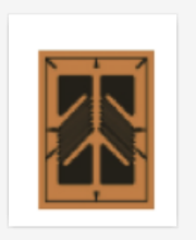 Strain Gage with Two Grids