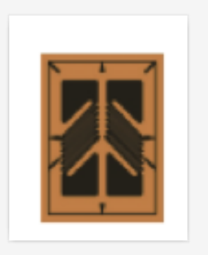 Strain Gage with Two Grids