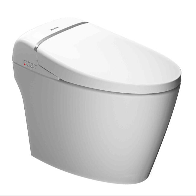 S50 Cheap Price Smart Toilet Sets , Chinese Toilet Video, One piece Dual-Flush wc Toilet Tube