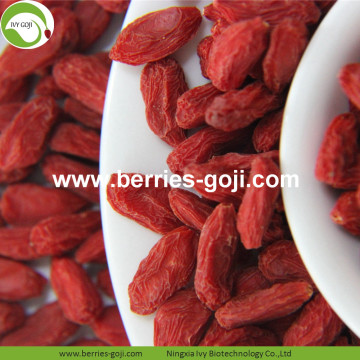 Factory Supply Super Food Dried Goji Berry Fruit