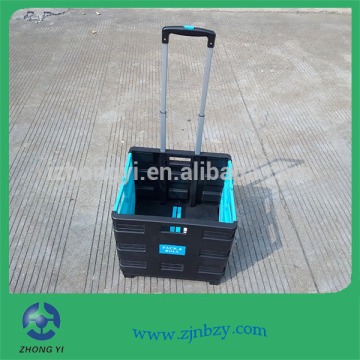 Elderly Plastic Foldaway Shopping Rolling Cart