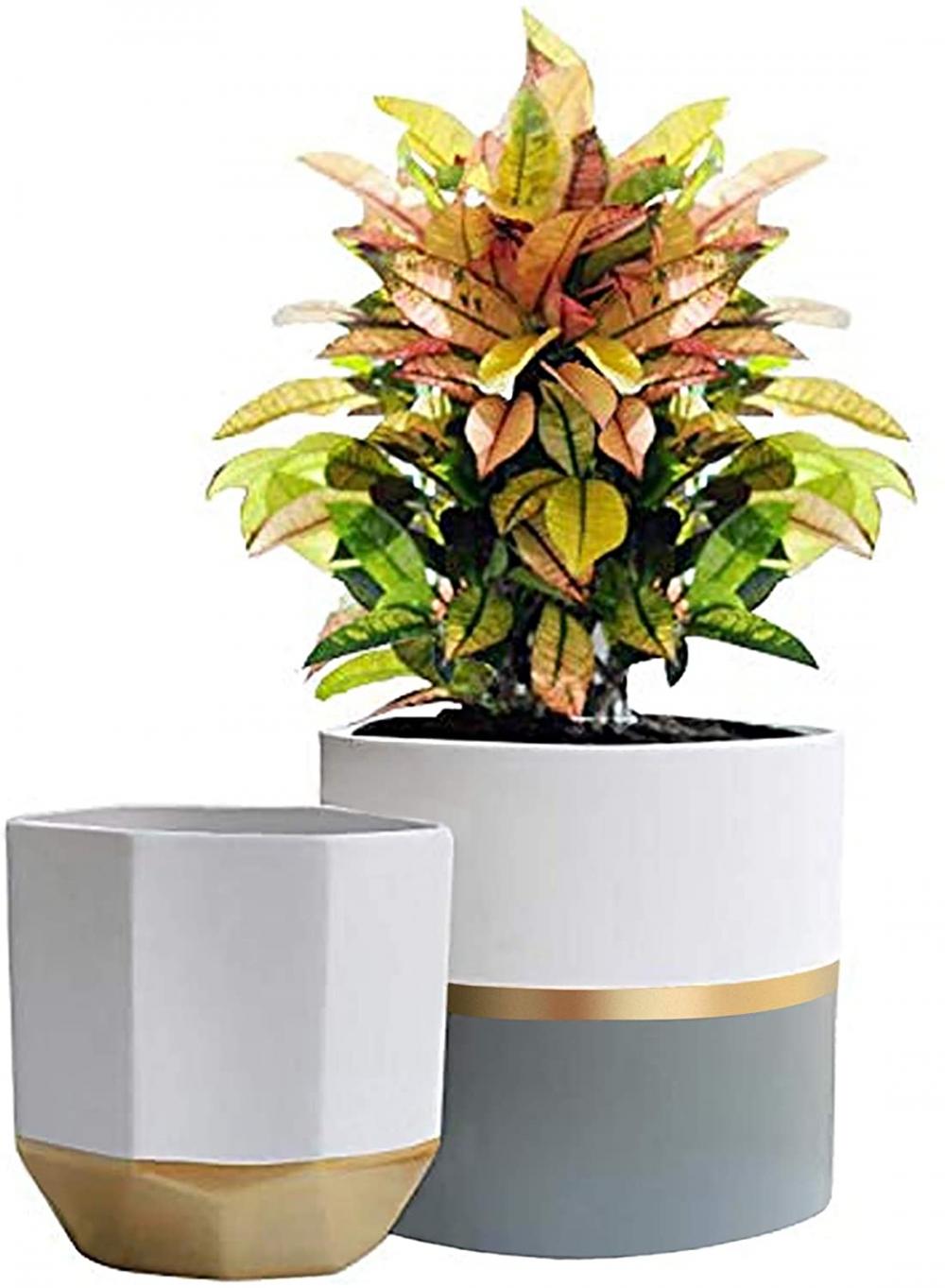 White Ceramic Flower Pot Garden Planters