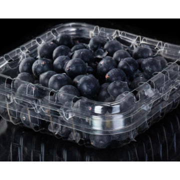 Wadah plastik sekali pakai untuk blueberry