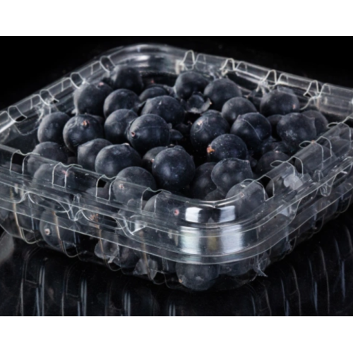 Wadah plastik sekali pakai untuk blueberry