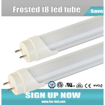 Professional  linear fluorescent tubes