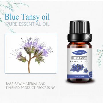 Buy Organic high quality cosmetic grade Blue Tansy essential Oils for skin face care