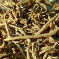 Radix heterophylla guter Tee