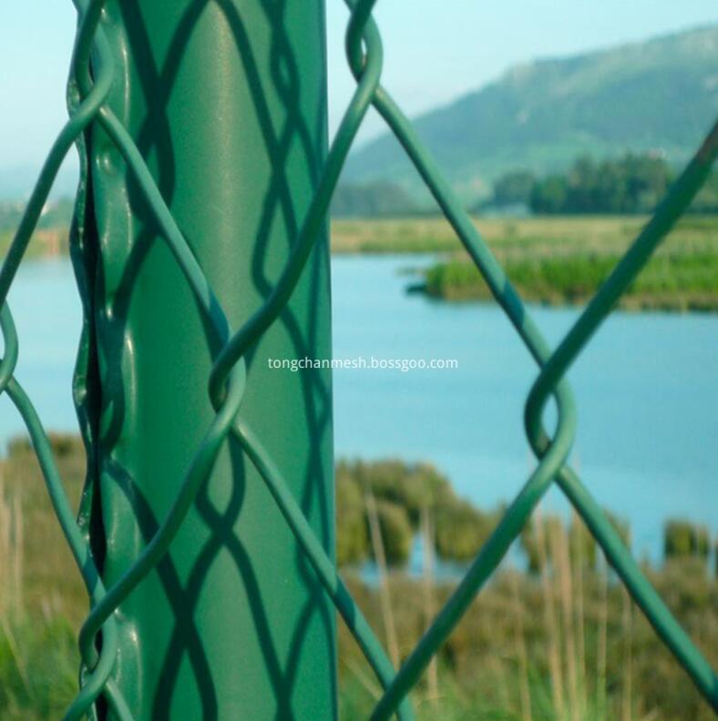 PVC Coated Chain Link Mesh