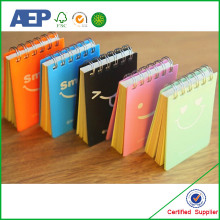 Mini Plastic Cover Spiral Notebook With Colored Paper,Promotional Notebook