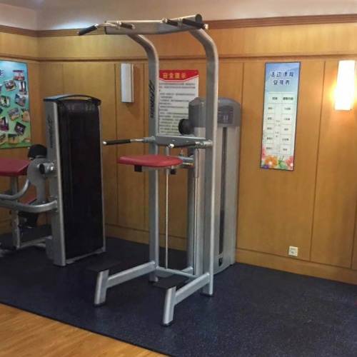 Strength training commercial dip/ chin assist machine