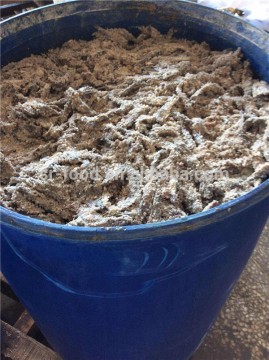 salted anchovy head off