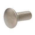 High Quality Stainless Steel Bolt and Nut