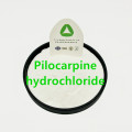 Pó de cloridrato de pilocarpina CAS 54-71-7 gotas de olho
