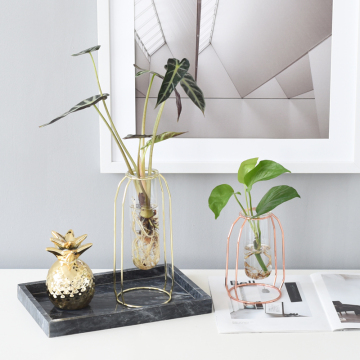 Nordic style modern simple vase decoration water vase