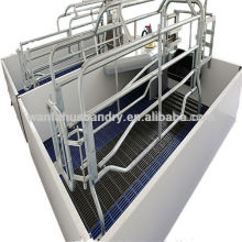 automatic pig breeding equipment feeding system